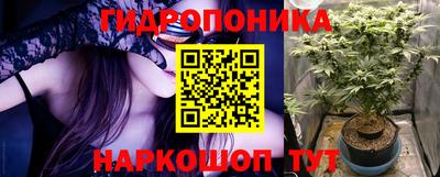 ALPHA PVP Кингисепп