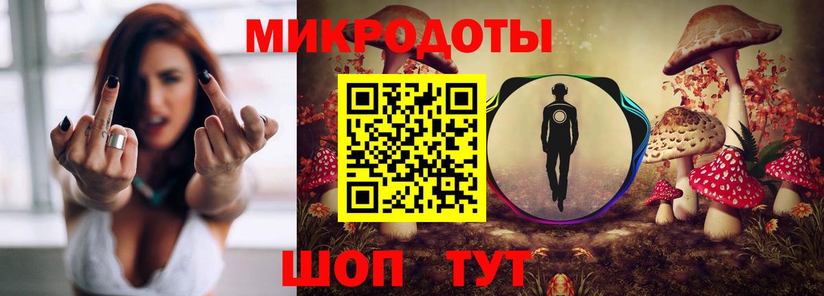 Псилоцибиновые грибы Psilocybe Фролово